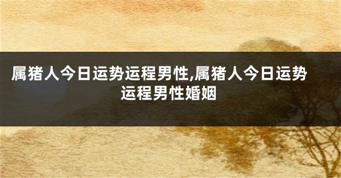 属猪人今日运势运程男性,属猪人今日运势运程男性婚姻