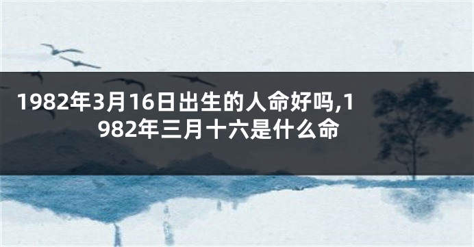 1982年3月16日出生的人命好吗,1982年三月十六是什么命