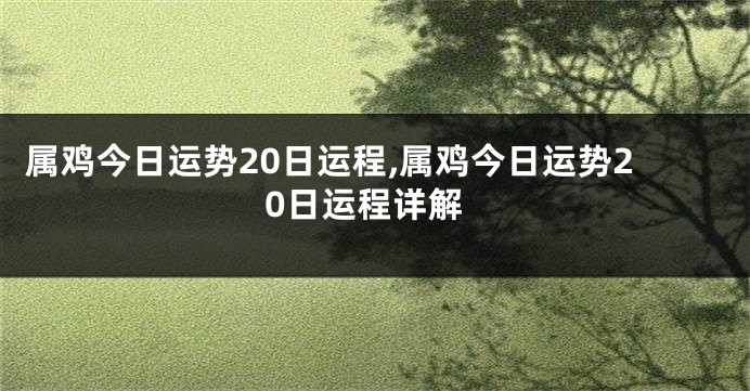 属鸡今日运势20日运程,属鸡今日运势20日运程详解