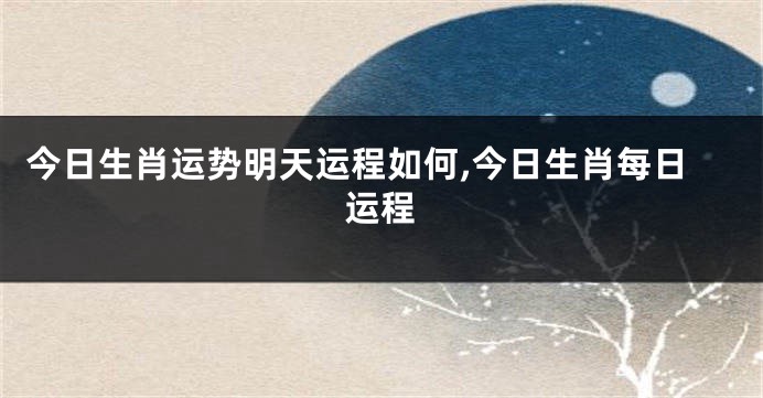 今日生肖运势明天运程如何,今日生肖每日运程