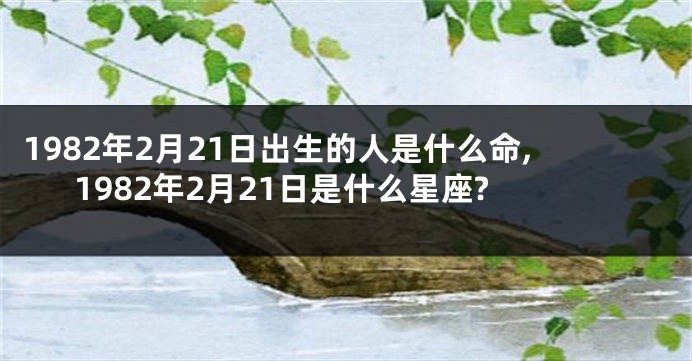 1982年2月21日出生的人是什么命,1982年2月21日是什么星座?