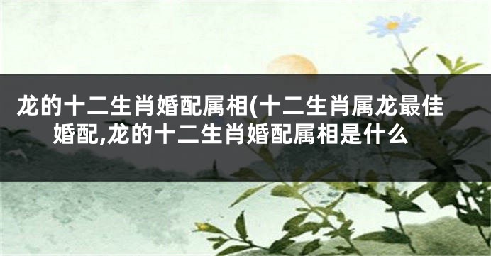 龙的十二生肖婚配属相(十二生肖属龙最佳婚配,龙的十二生肖婚配属相是什么