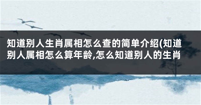 知道别人生肖属相怎么查的简单介绍(知道别人属相怎么算年龄,怎么知道别人的生肖