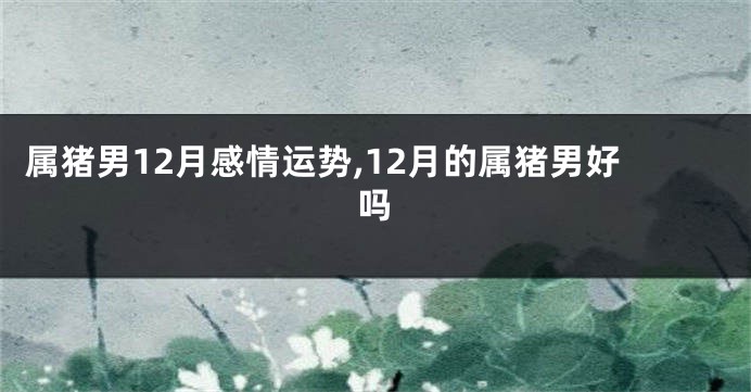 属猪男12月感情运势,12月的属猪男好吗