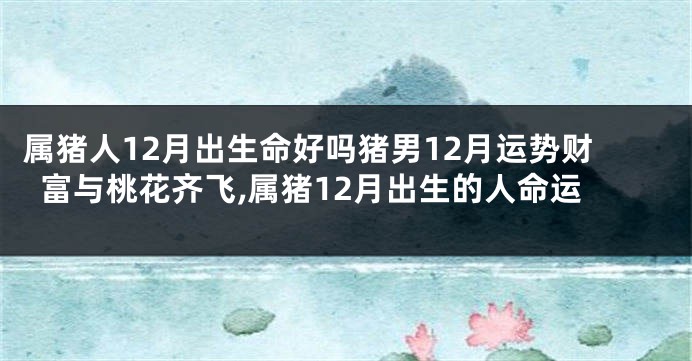 属猪人12月出生命好吗猪男12月运势财富与桃花齐飞,属猪12月出生的人命运