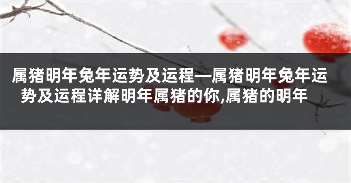 属猪明年兔年运势及运程—属猪明年兔年运势及运程详解明年属猪的你,属猪的明年