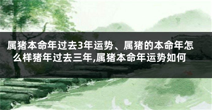 属猪本命年过去3年运势、属猪的本命年怎么样猪年过去三年,属猪本命年运势如何