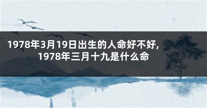 1978年3月19日出生的人命好不好,1978年三月十九是什么命