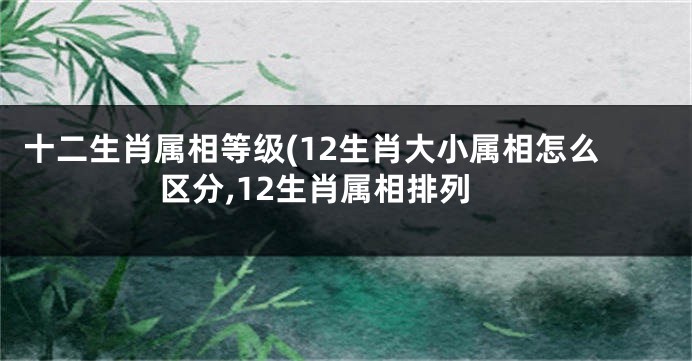 十二生肖属相等级(12生肖大小属相怎么区分,12生肖属相排列