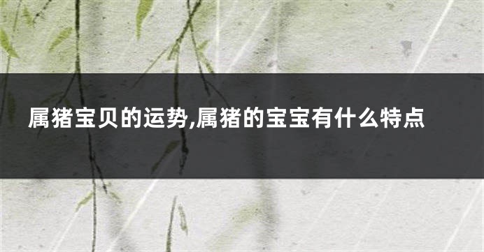 属猪宝贝的运势,属猪的宝宝有什么特点