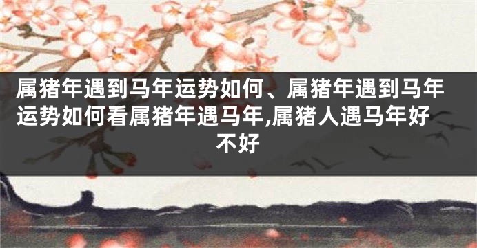 属猪年遇到马年运势如何、属猪年遇到马年运势如何看属猪年遇马年,属猪人遇马年好不好