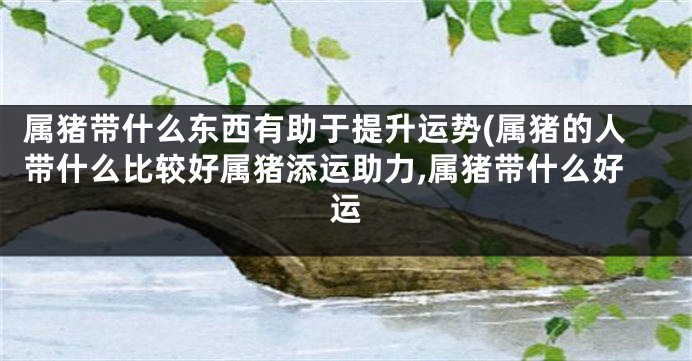 属猪带什么东西有助于提升运势(属猪的人带什么比较好属猪添运助力,属猪带什么好运