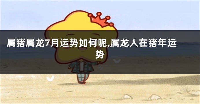 属猪属龙7月运势如何呢,属龙人在猪年运势