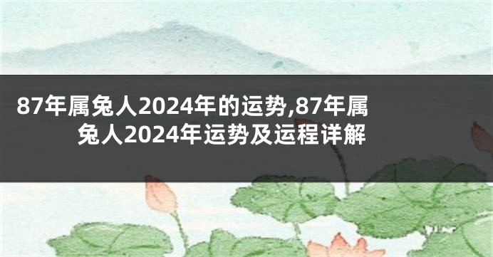 87年属兔人2024年的运势,87年属兔人2024年运势及运程详解