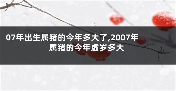 07年出生属猪的今年多大了,2007年属猪的今年虚岁多大