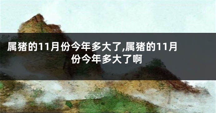 属猪的11月份今年多大了,属猪的11月份今年多大了啊