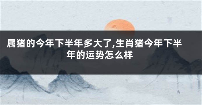 属猪的今年下半年多大了,生肖猪今年下半年的运势怎么样