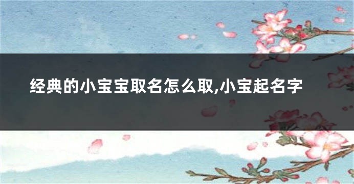 经典的小宝宝取名怎么取,小宝起名字