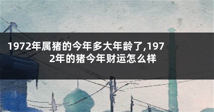 1972年属猪的今年多大年龄了,1972年的猪今年财运怎么样