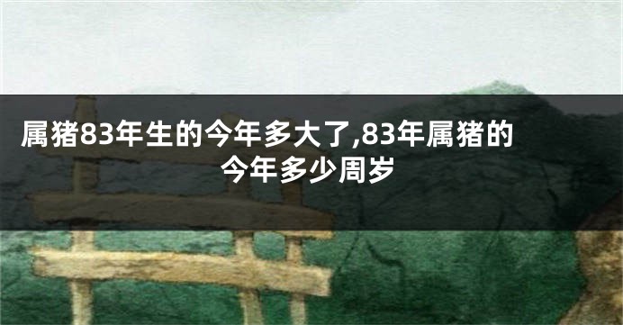 属猪83年生的今年多大了,83年属猪的今年多少周岁