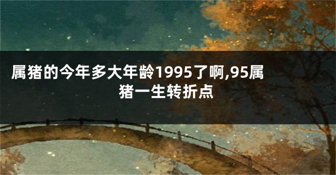 属猪的今年多大年龄1995了啊,95属猪一生转折点