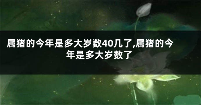 属猪的今年是多大岁数40几了,属猪的今年是多大岁数了