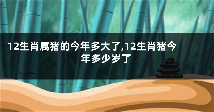 12生肖属猪的今年多大了,12生肖猪今年多少岁了