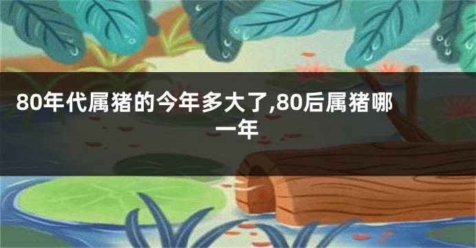 80年代属猪的今年多大了,80后属猪哪一年