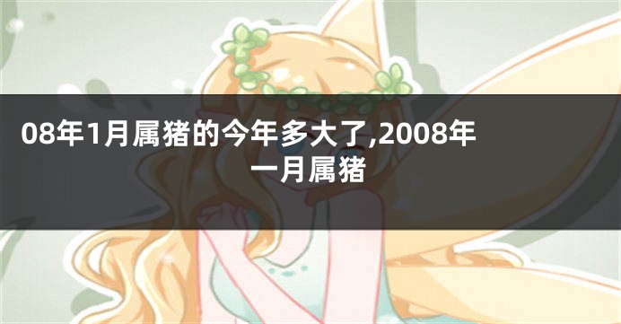 08年1月属猪的今年多大了,2008年一月属猪