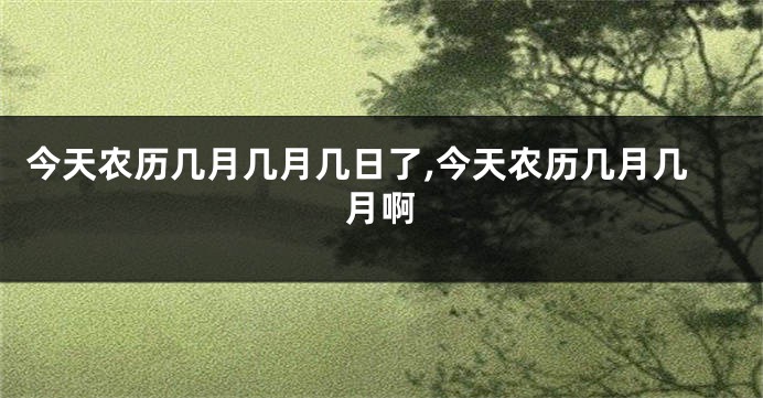 今天农历几月几月几日了,今天农历几月几月啊