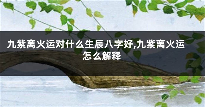 九紫离火运对什么生辰八字好,九紫离火运怎么解释