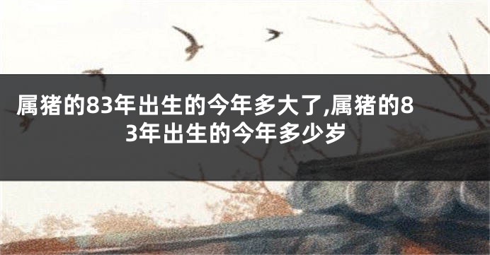 属猪的83年出生的今年多大了,属猪的83年出生的今年多少岁