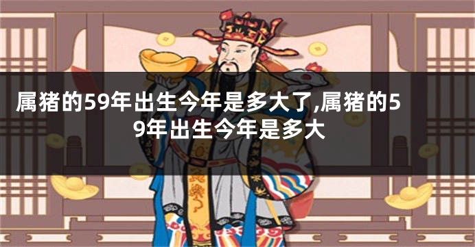 属猪的59年出生今年是多大了,属猪的59年出生今年是多大