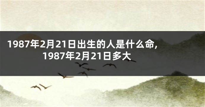 1987年2月21日出生的人是什么命,1987年2月21日多大