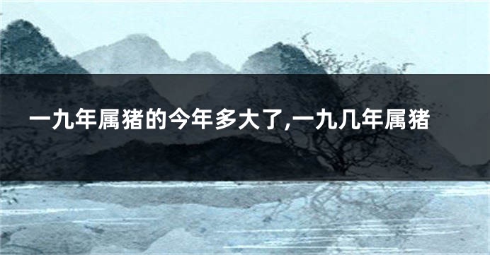 一九年属猪的今年多大了,一九几年属猪