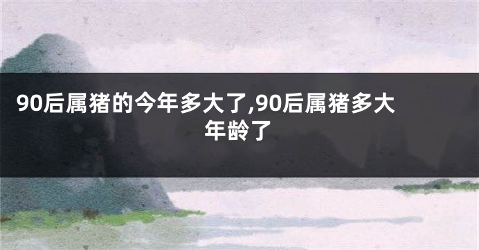 90后属猪的今年多大了,90后属猪多大年龄了