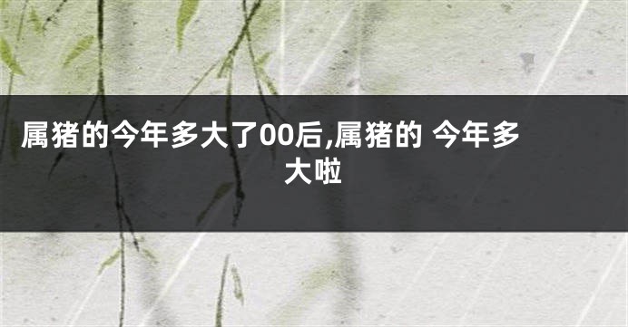 属猪的今年多大了00后,属猪的 今年多大啦