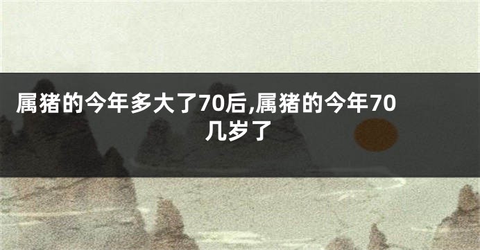 属猪的今年多大了70后,属猪的今年70几岁了