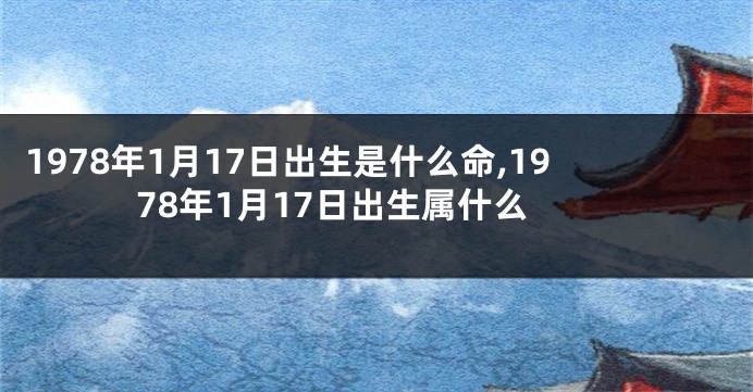 1978年1月17日出生是什么命,1978年1月17日出生属什么