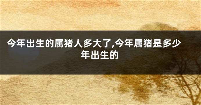 今年出生的属猪人多大了,今年属猪是多少年出生的