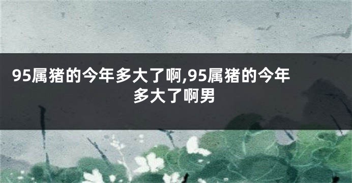 95属猪的今年多大了啊,95属猪的今年多大了啊男