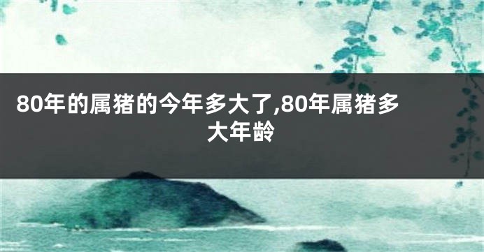 80年的属猪的今年多大了,80年属猪多大年龄