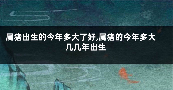 属猪出生的今年多大了好,属猪的今年多大几几年出生