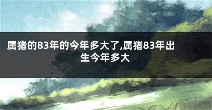 属猪的83年的今年多大了,属猪83年出生今年多大