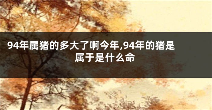 94年属猪的多大了啊今年,94年的猪是属于是什么命