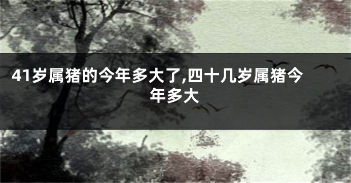 41岁属猪的今年多大了,四十几岁属猪今年多大