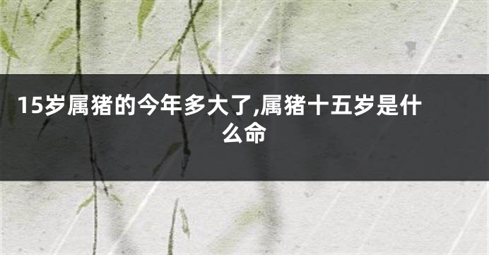 15岁属猪的今年多大了,属猪十五岁是什么命