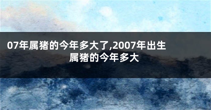 07年属猪的今年多大了,2007年出生属猪的今年多大