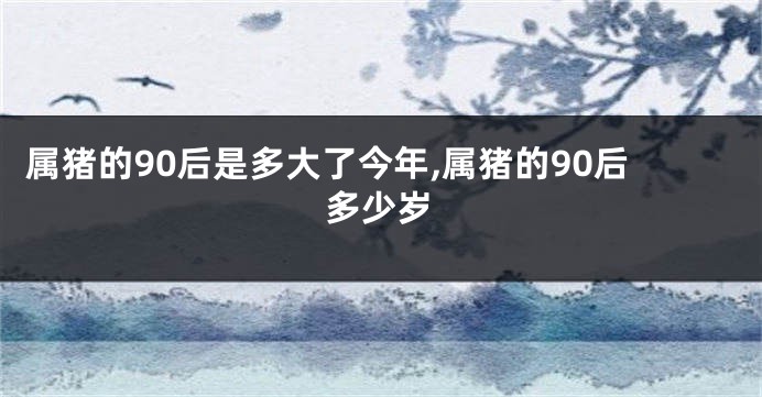 属猪的90后是多大了今年,属猪的90后多少岁