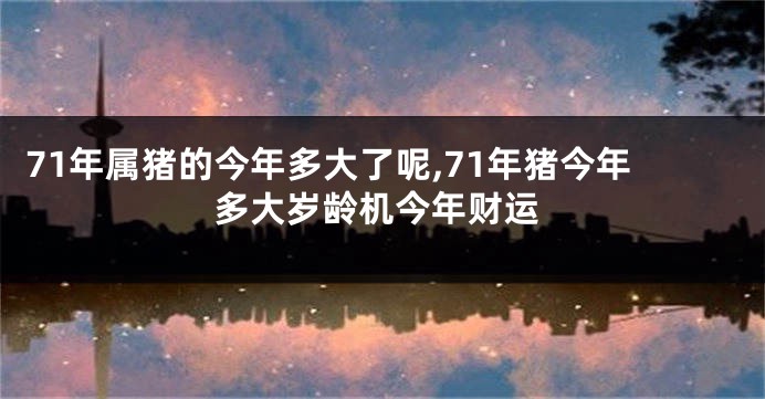 71年属猪的今年多大了呢,71年猪今年多大岁龄机今年财运